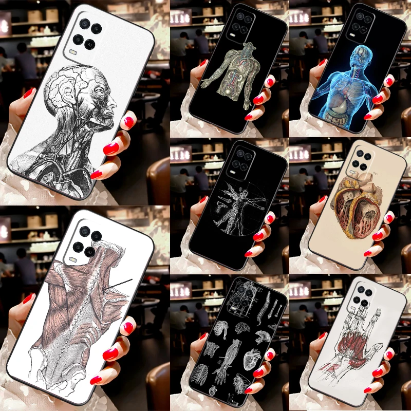 Human Anatomy Case … - image