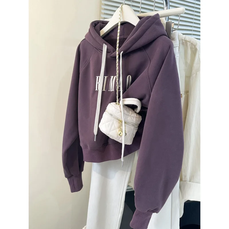 

European and American Real Shot Idle Style Hooded Sweater Women's Spring and Autumn Thin Loose Slimming and Short Letters Embroi