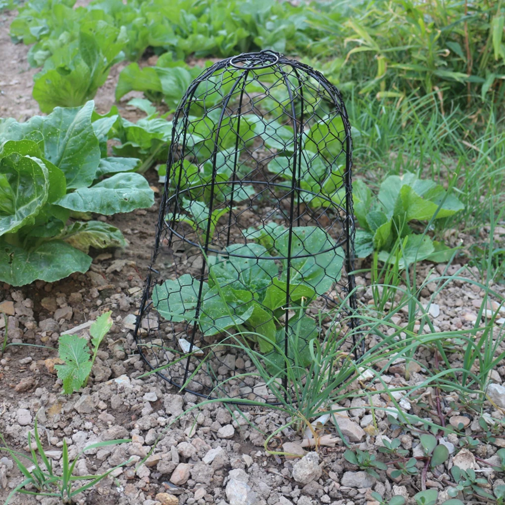 Wire Mesh Plant Protection Cloche Garden Cover Protect Vegetables Fruits Trees Squirrels Bell-shaped Design Easy to Use Durable