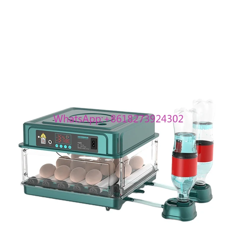 

Digital Brooder 10/12Eggs Incubator Fully Automatic for Chicken Goose Quail Incubation Turner Equipment Hatchery Poultry Tool