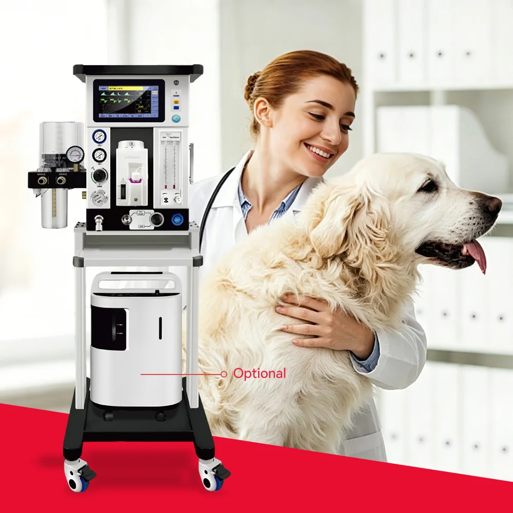 Multifunctional Veterinary Anesthesia System with Integrated Breathing Circuit for Pet Hospital