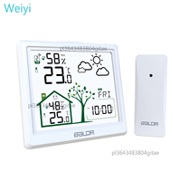 Baldr Wireless Weather Station 4.9\