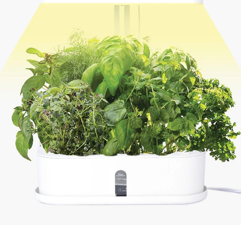 

Amazon Hot Selling Indoor intelligent Soil less Hydroponic planting kit
