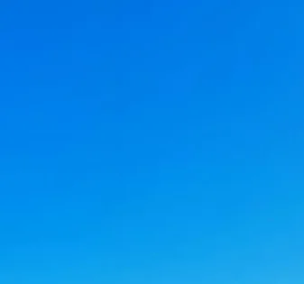 

Out of stock Out of stock