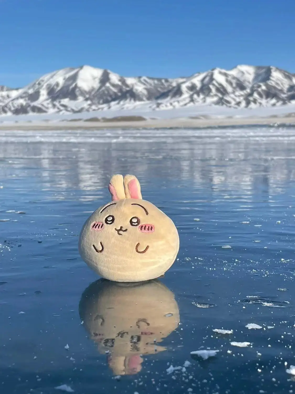 Miniso New Chiikawa… - image