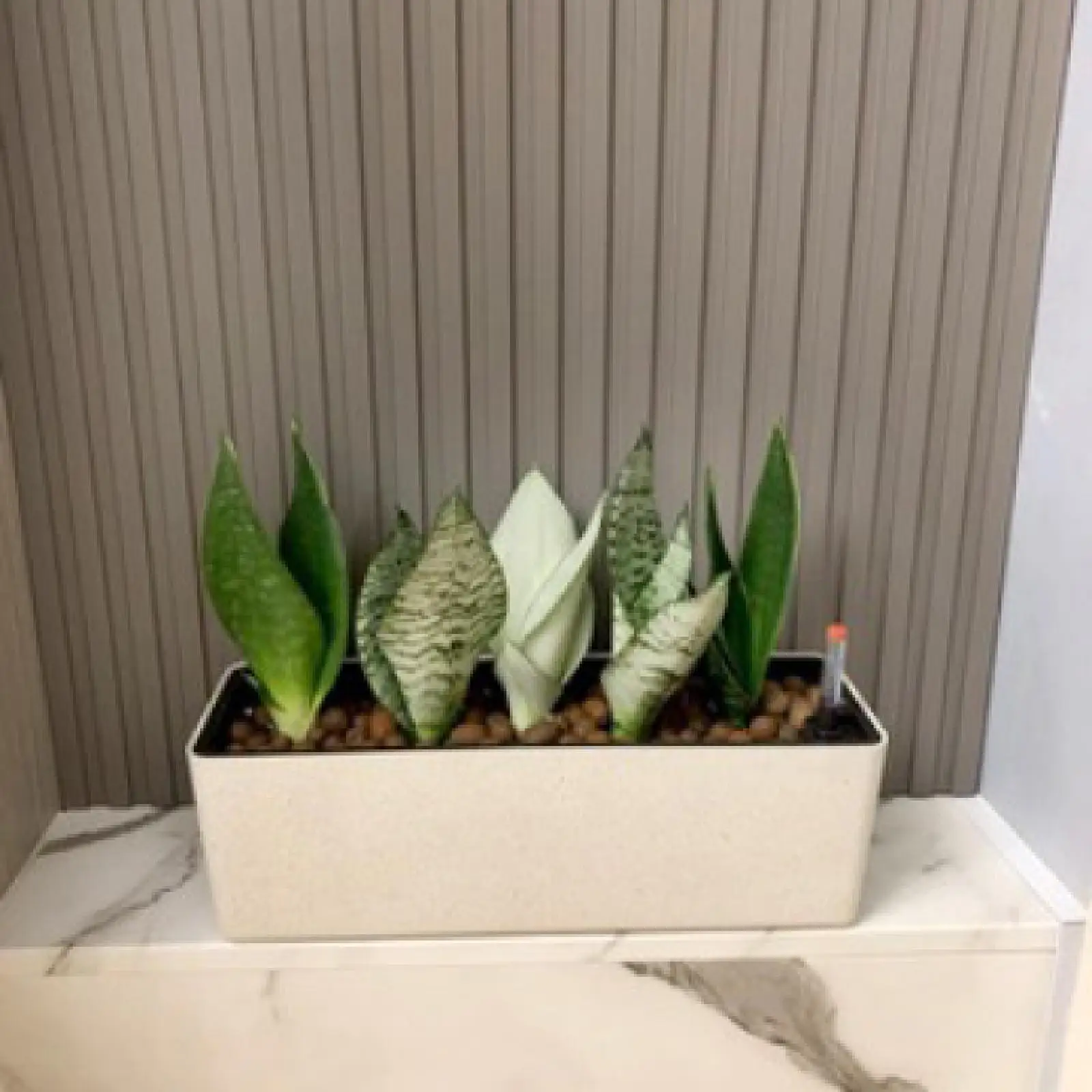 Self Watering Planter Large Outdoor Rectangular Pot with Water Indicator Indoor Flower Pot for Patio Porch Balcony Garden