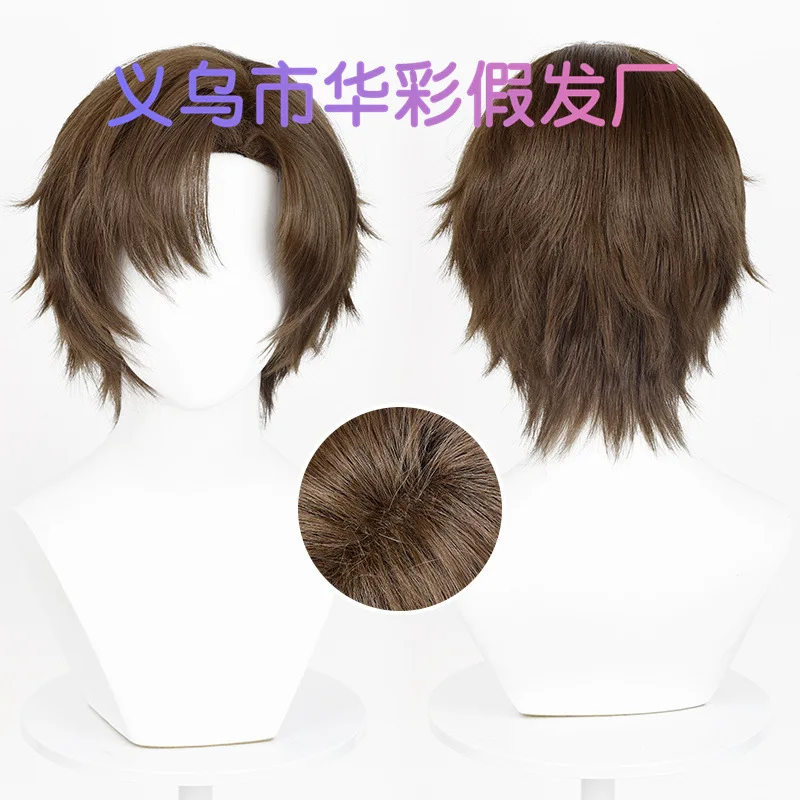 Man Coser Brown Short Straight Synthetic Wig Middle Part Anime Game Cosplay Fluffy Men Wig for Daily Party