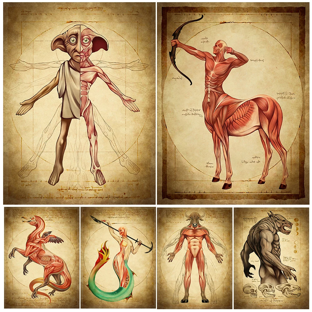 Natural History Of The Fantastic Abstract Wall Art Canvas Print,Griffin,Centaur,Mermaid,Minotaur Anatomy Art Poster Print Decor