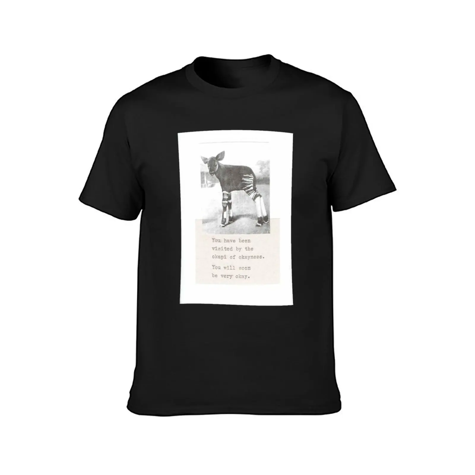 Okapi Of Okayness T-Shirt anime quick-drying heavyweights boys animal print workout shirts for men