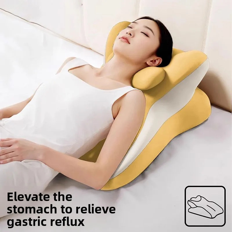 Thumbnail 2 - #43 Best Backrest Pillows to Buy In 2026