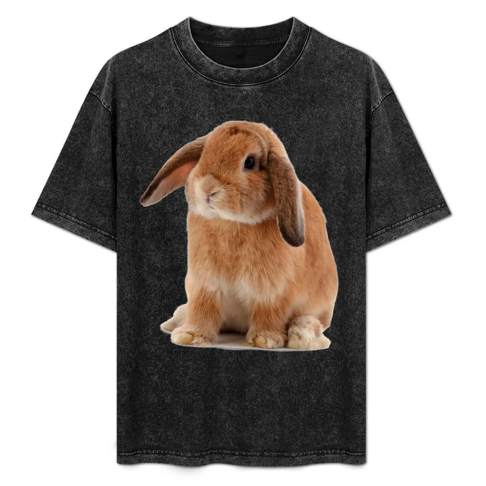 

Lop Eared Rabbit T-Shirt boys whites oversized mens cotton t shirts