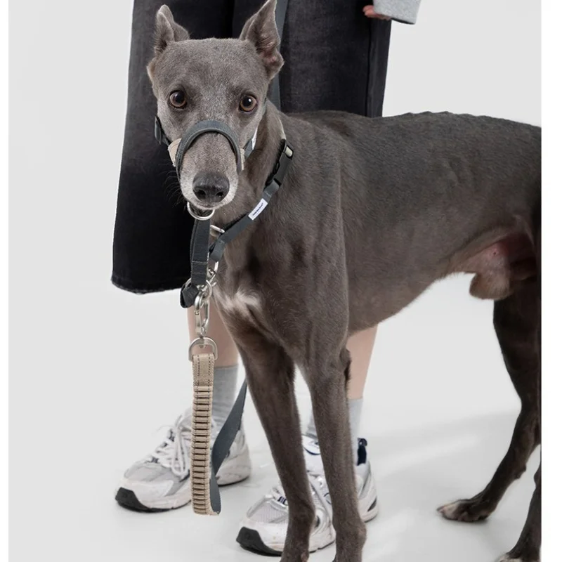 

Eco-Friendly Reflective Anti-Pull Muzzle, Side Tighten Control, Soft Nose Pad, Allows Drink & Panting for Dogs S-L