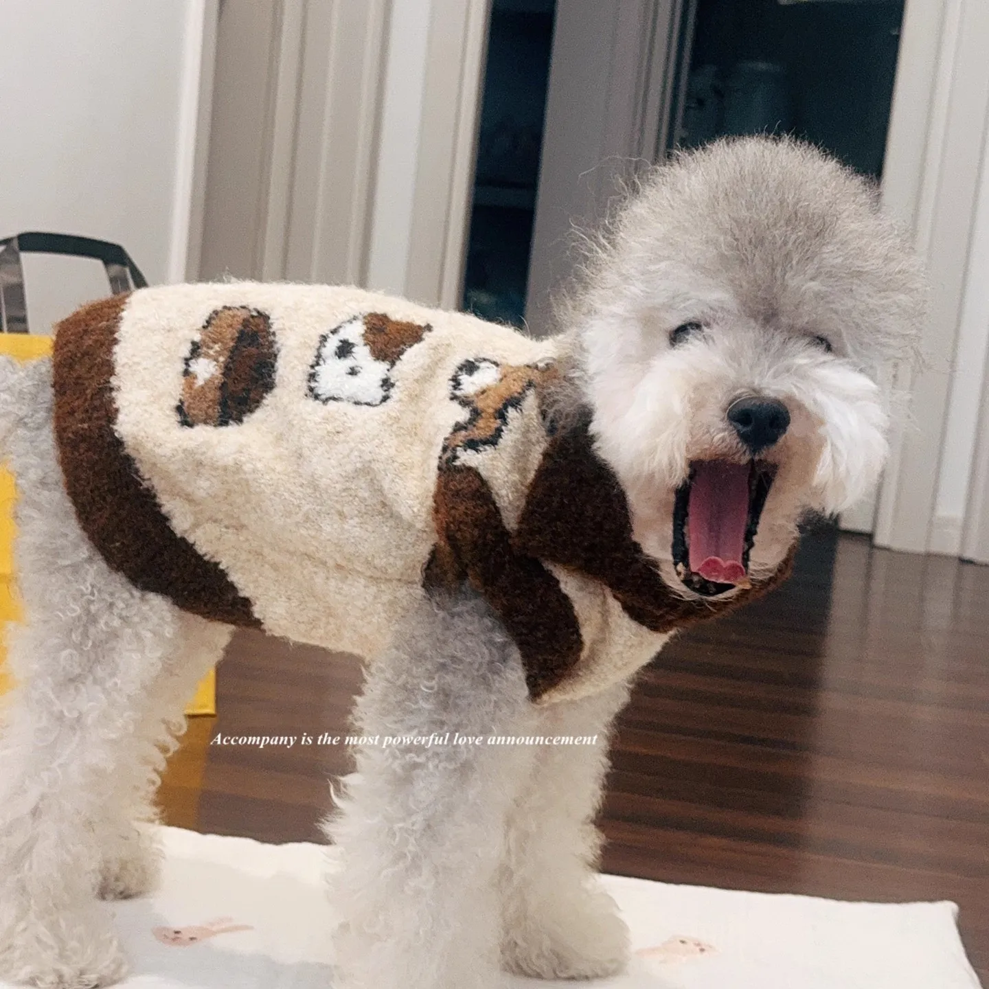 

High-Quality Plush Soft And Warm Winter Pet Clothing With Cute Cartoon Prints Dog Tank Sweater
