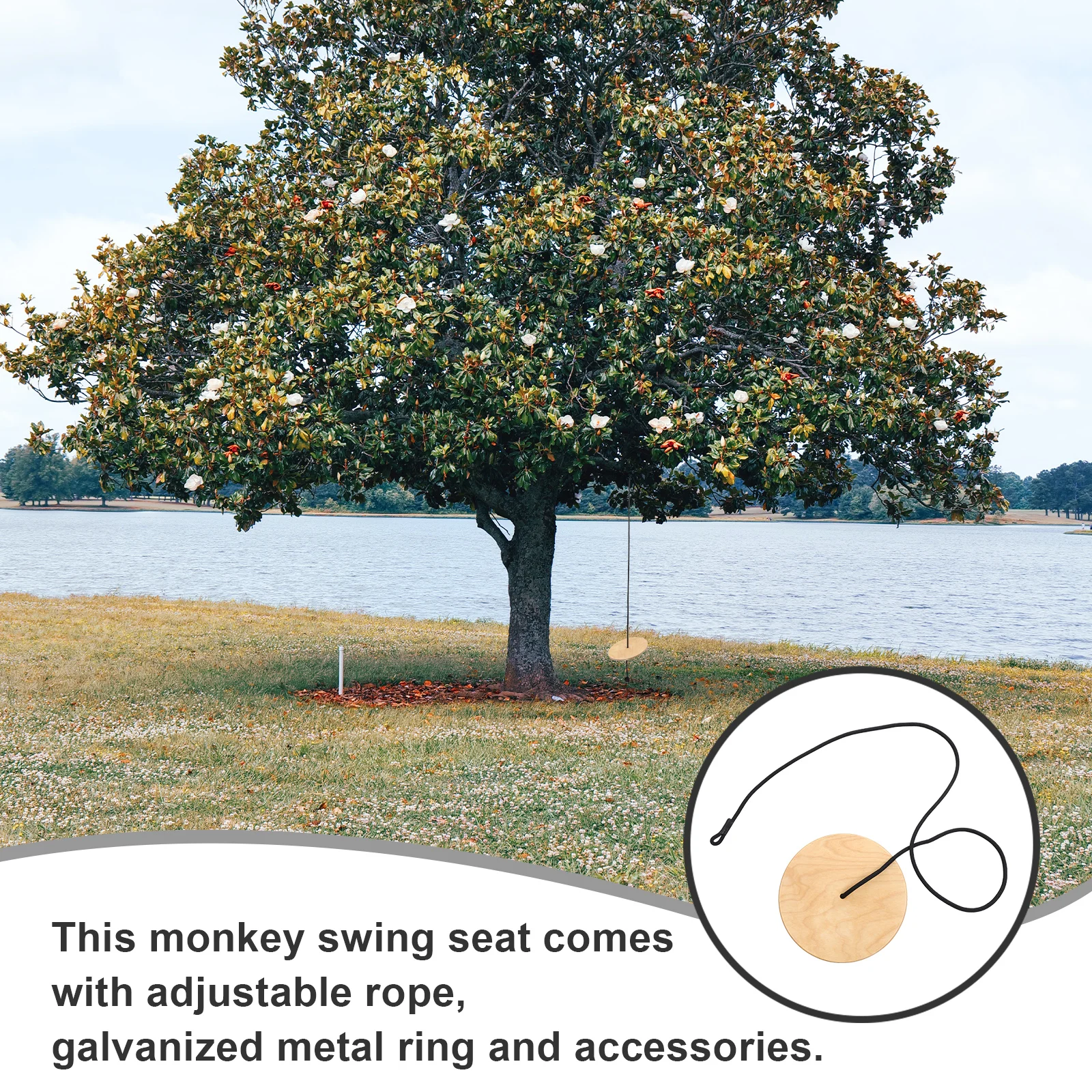 Asiento de columpio de madera, columpio de disco de alta resistencia, cuerda ajustable, anillo galvanizado, columpios al aire libre para niños, equipo de juego de madera gruesa
