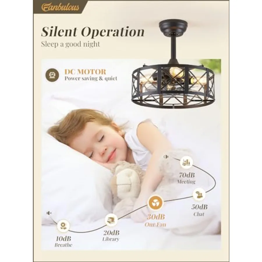 16in Felier Ceiling Fans with Lights Remote Caged Enclosed Farmhouse Ceiling Fan with 6 Speeds Timing Small Bladeless Chelier F