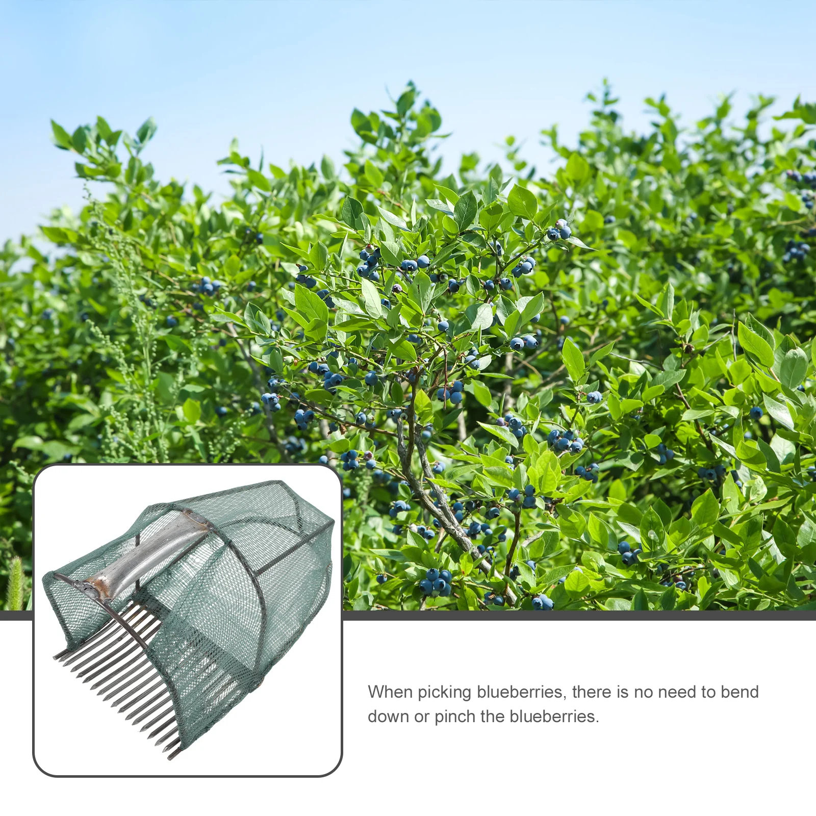 

Blueberry Picker 16 Teeth Lightweight Compact Gardening Tool Foldable Picking Devices Fruit Scoop Outdoor Tools
