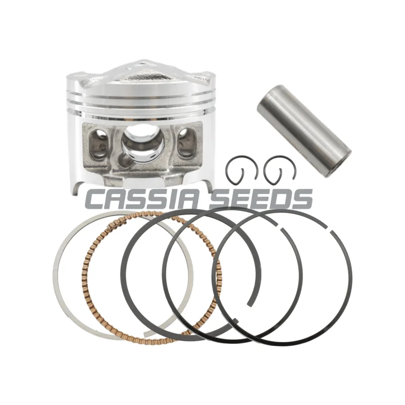 Motorcycle Engine Parts Piston and Ring Kit Set for Honda CBR250 CBR 250 MC19 KY1