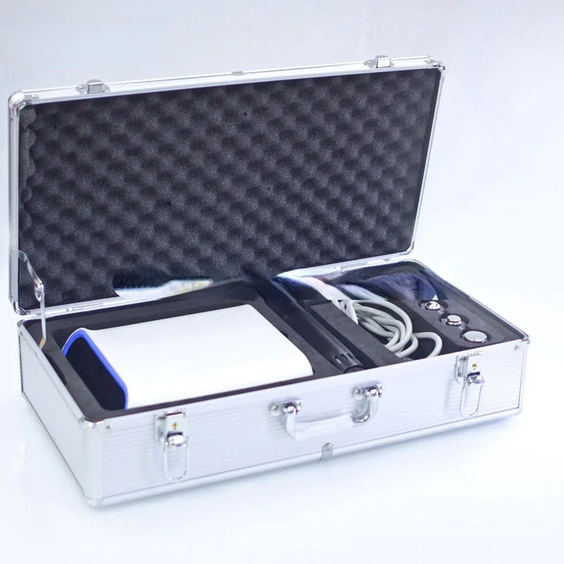 말 반려동물 물리 치료 회복 운동