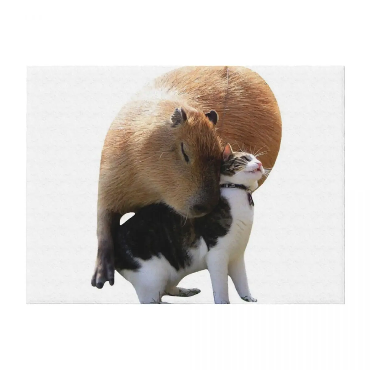 

Capybara & Cat Throw Blanket Plaid on the sofa Plush For Decorative Sofa christmas gifts Blankets
