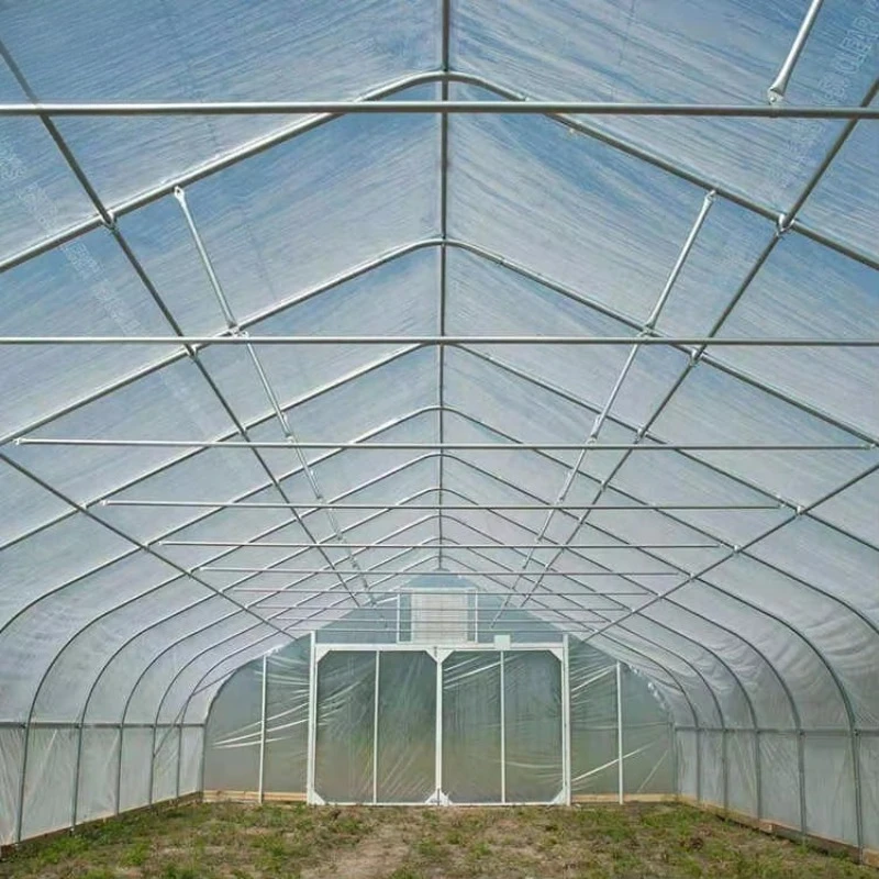 เรือนกระจกใหม่เอี่ยมคุณภาพสูง