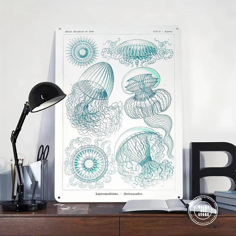 Jellyfish Poster Customized Vintage Metal Signs Wall Art Retro Tin Plaque for Desk Decor House Modern Home Decoration Ornaments