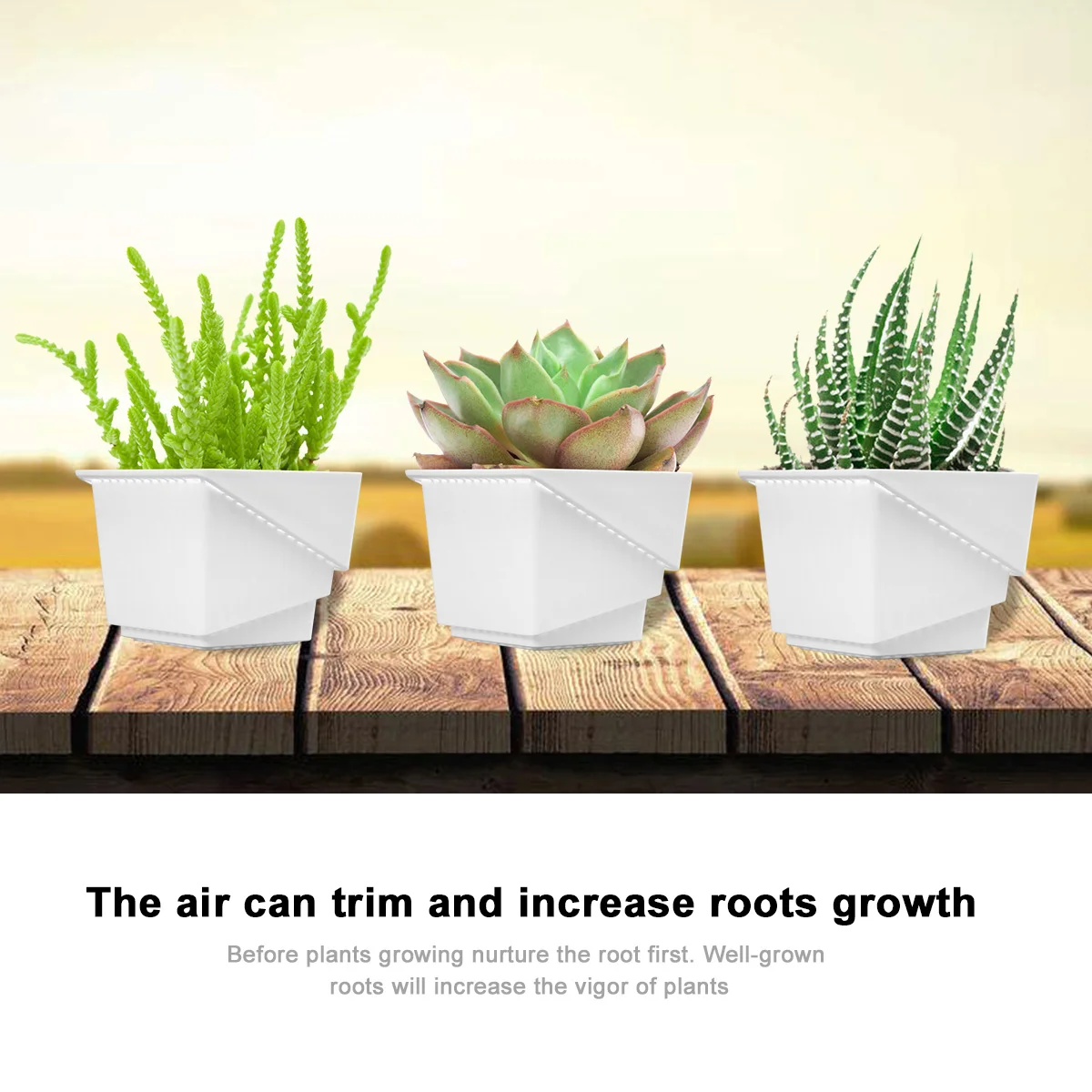 

5 Pcs Breathable Succulent Plant Pot Flower Pot for Home Office Decoration No Rust Fade Plants Storage