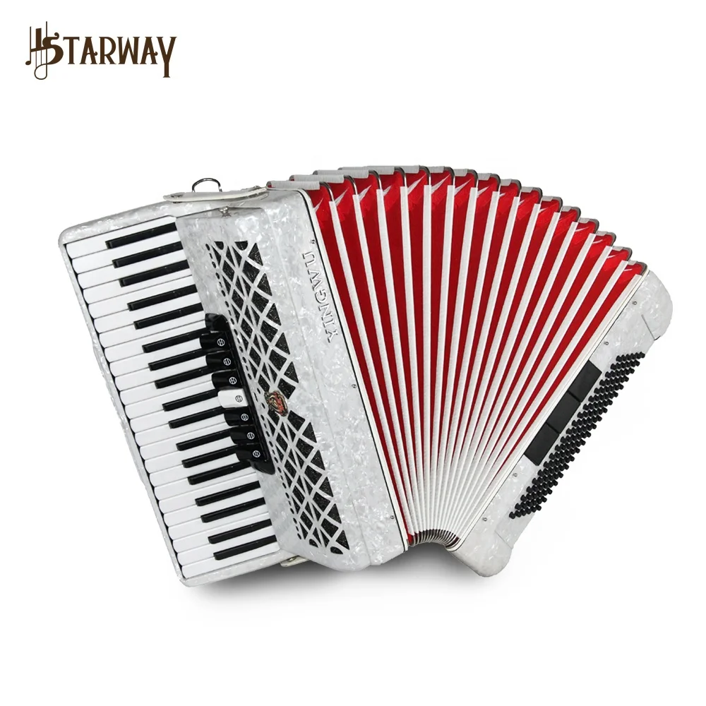 China parrot 41 keys 120 bass 10 Register diatonic keyboard accordion piano musical instrument for beginner