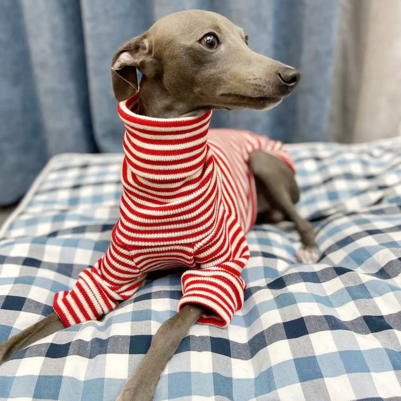 Italian Greyhound Winter Red Striped Sweater Christmas New Year Whippet Turtleneck Soft Acrylic