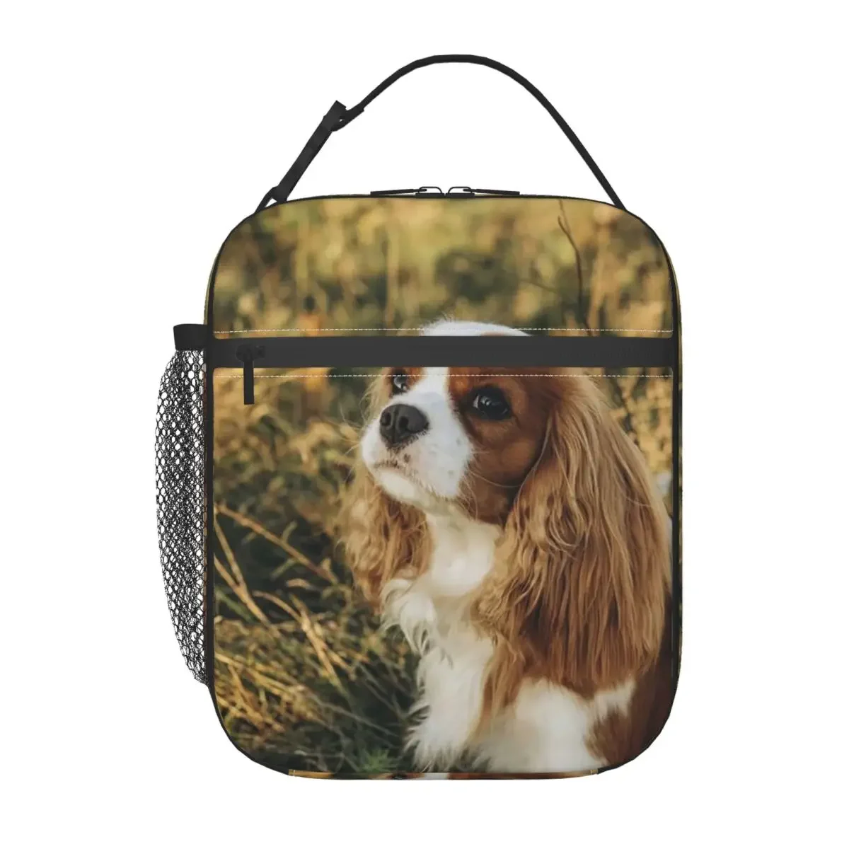 Custom Cavalier King Charles Spaniel Square Insulated Lunch Bag for Women Children Portable Food Boxes Thermal Lunch Box Tote