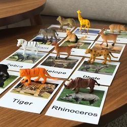 Montessori Animal Matching Card,Language Learning Cognitive Kids Educational Toy Insect Farm Zoo Preschool Toddler 1 2 Years Old