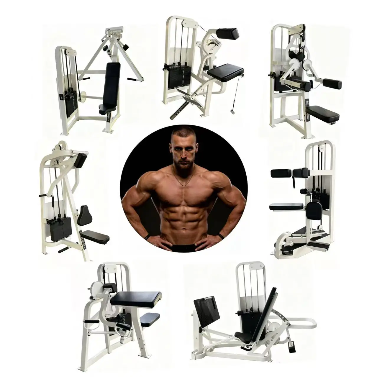 Sales Complete Sets Steel Strength Training Equipment for Commercial Gyms Including Arms Legs Chest Back