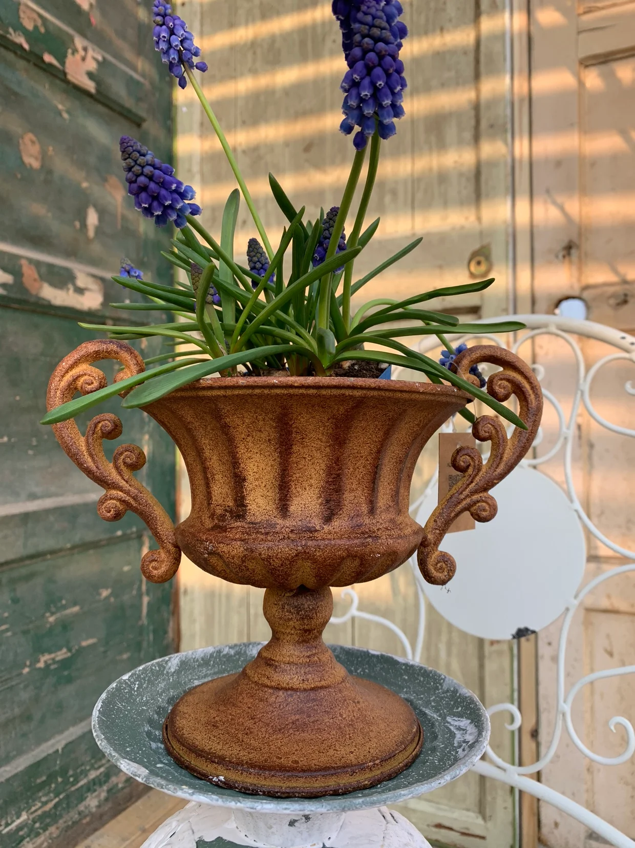 Vintage Retro Metal Iron Rust Color Urn Trophy Design Flower Pot Rustic Decorative Planter