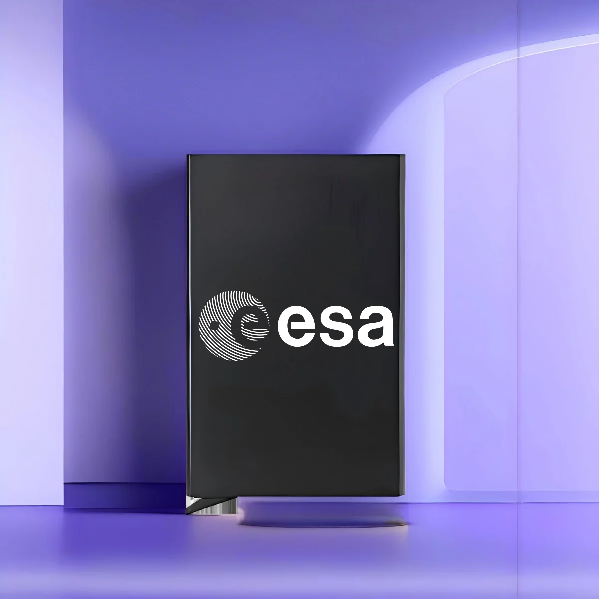 

Новый стильный картхолдер ESA 2026 с принтом, различные цветовые варианты, простой в использовании, компактный для повседневных нужд