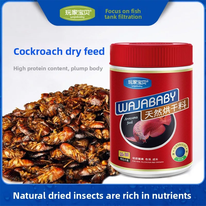 

WAJABABY Dried Cockroach Fish Food - High Protein Arowana Diet, Nutrient-Rich Treat for Large Carnivorous & Tropical Fish