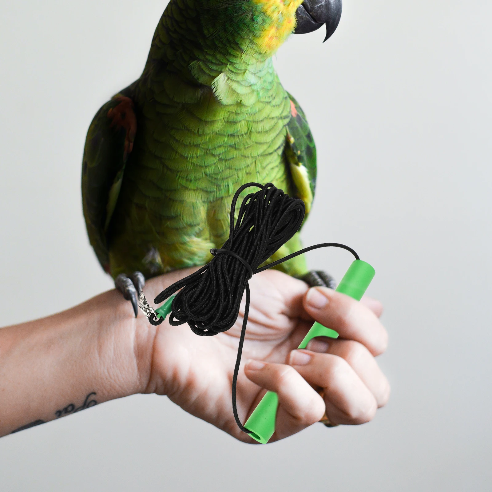 

Bird Traction Rope Leash Walking Parrot Flying Adjustable Outdoor Pet Bird Flying Pet Harness Rope Hamster Harness Leash Durable