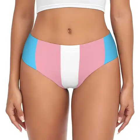 Trans Pride Flag Drip Briefs Underwear Women Comfortable Stretch Lesbian LGBT Gay Pride Panties