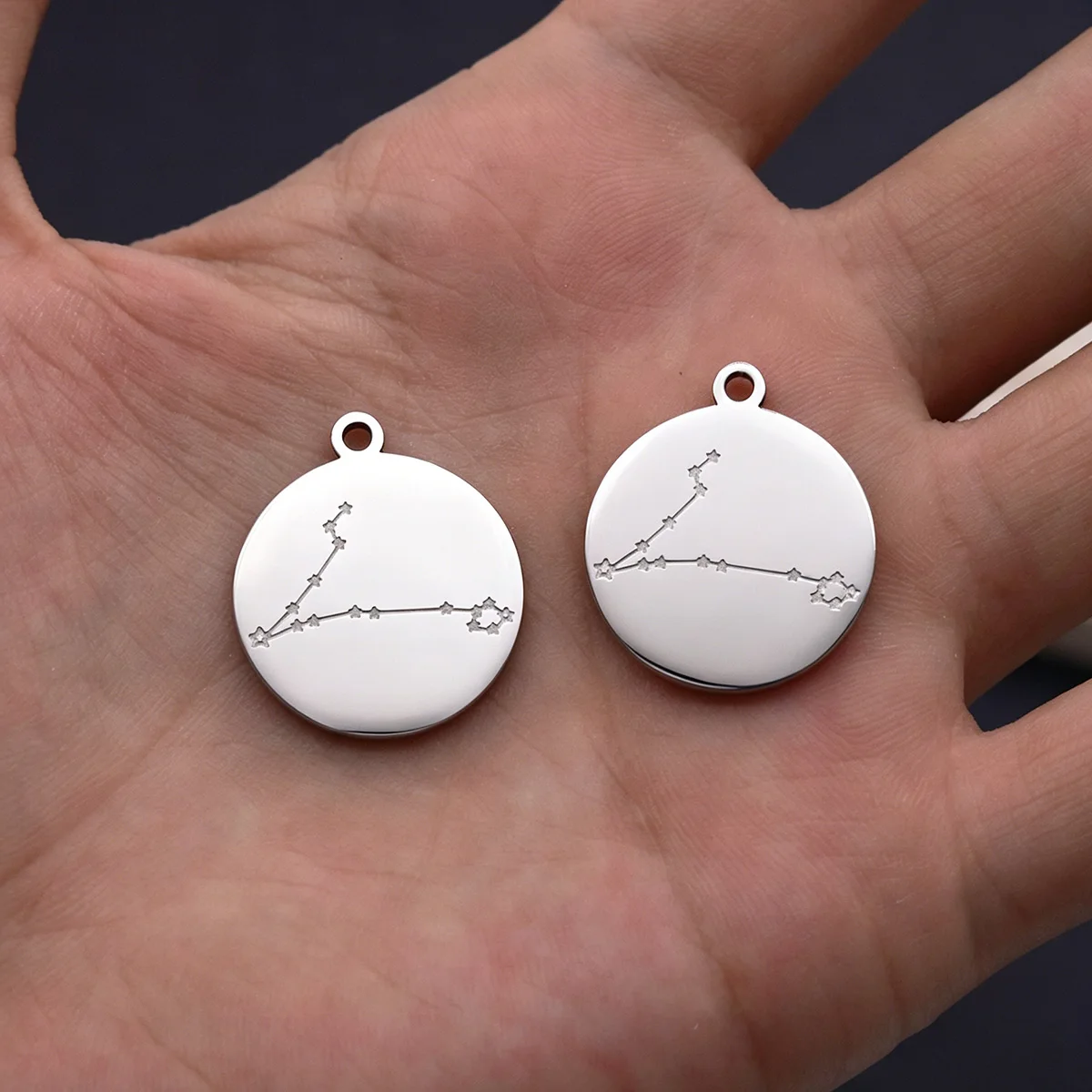 2pcs Zodiac Charm Pisces Constellation Stainless Steel Pendant Charms for Jewelry Making Necklace Gifts Craft diy Accessories