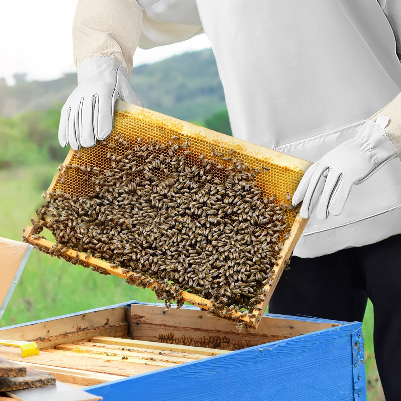 

1 Set Beekeeping Suit Gloves Ventilated Jacket Thickened Durable Fabric Universal Fit Elastic Waist Safety Work