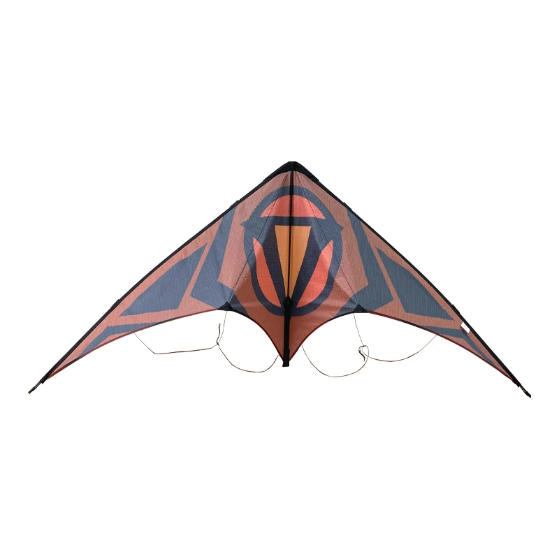 Aquilone sportivo per adulti da esterno, aquilone triangolare grande, aquilone acrobatico a doppia linea di alta gamma, facile da pilotare, include linea di lancio