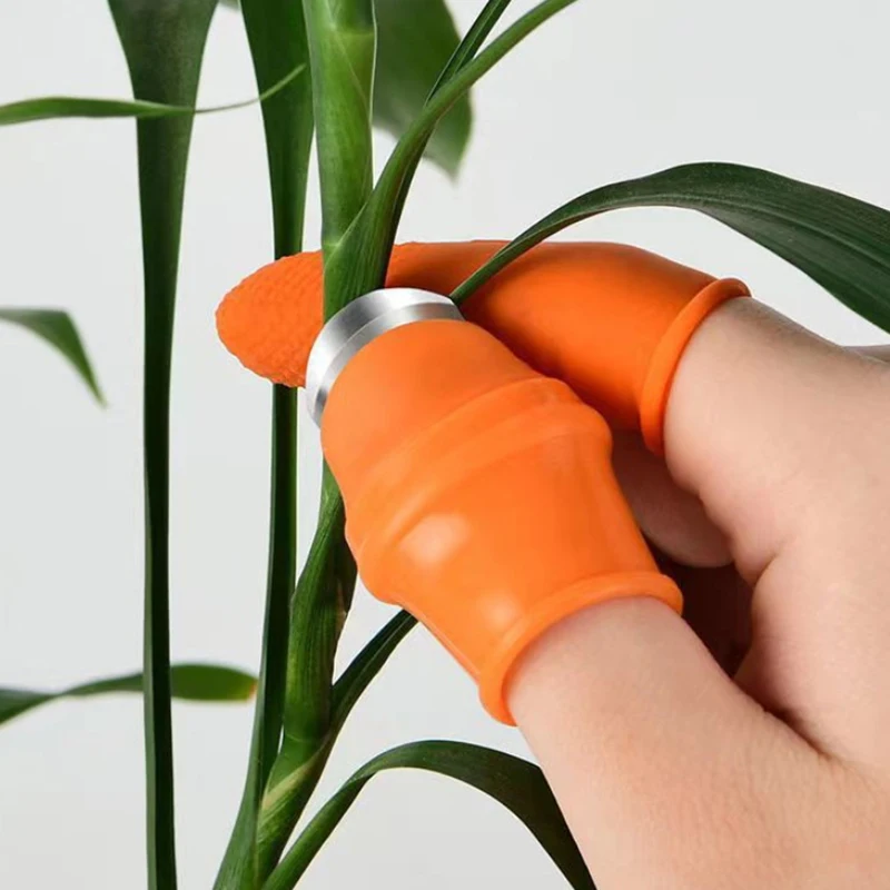Farm Vegetable Fruit Picker Pickle Pepper Pickle Tip Picker Iron Nail Pick Grape Picker For Garden Orchard And Vegetable Patch‘