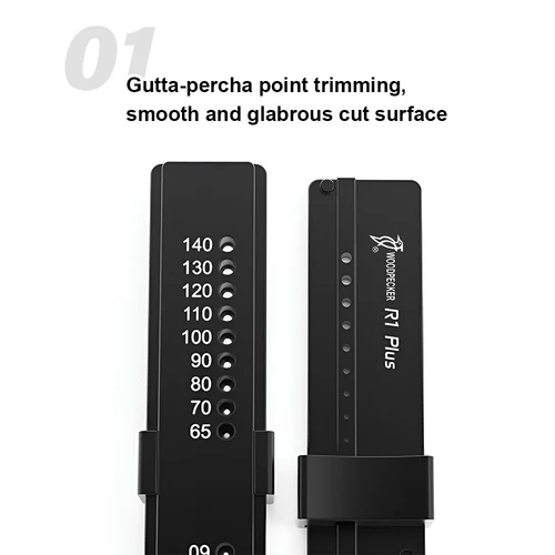 Imagen 2 del producto WOODPECKER R1 Plus instrumentos dentales, reglas Endo para gutapercha, Regla de medición esterilizable en Autoclave, escala de medida endodoncia