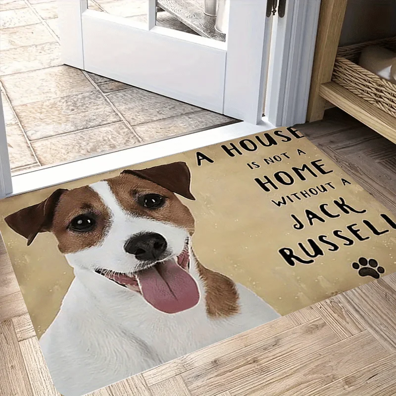 Jack Russell Terrier 