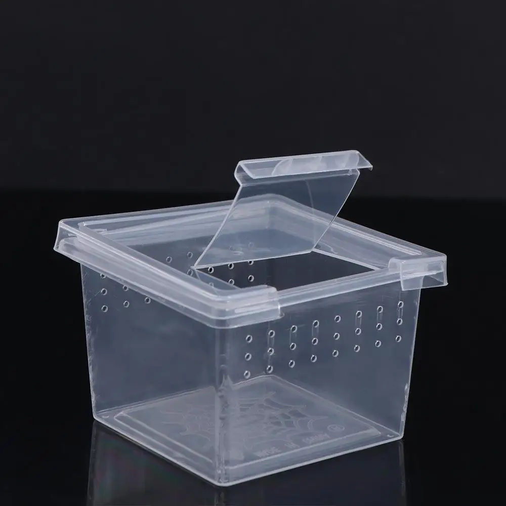 Household Transparent Reptile Accessories Lizard Living Box Reptile Habitat Insect Feeding Box Hatching Tank