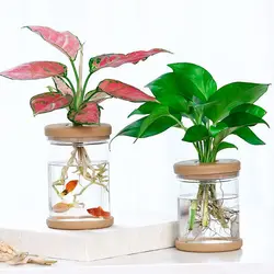 Transparent Hydroponic Vase Plastic Vase Simple Style Plant Flower Pot Flower Arrangement Home Decoration Tabletop Ornament