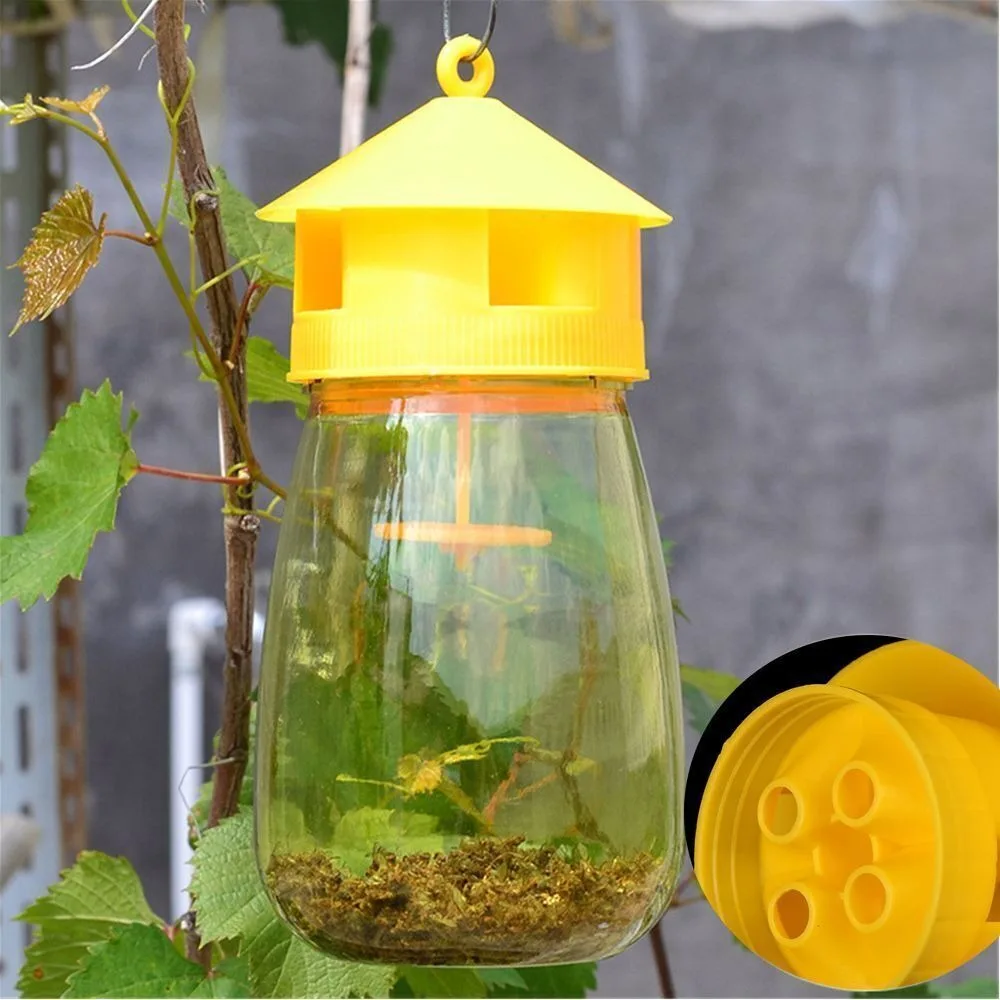 זבוב פירות פלסטיק מלכודת רוצח drosophila מלכודת אנטי זבוב פירות רוצח חרקים שליטה עפו מלכודת דבורה