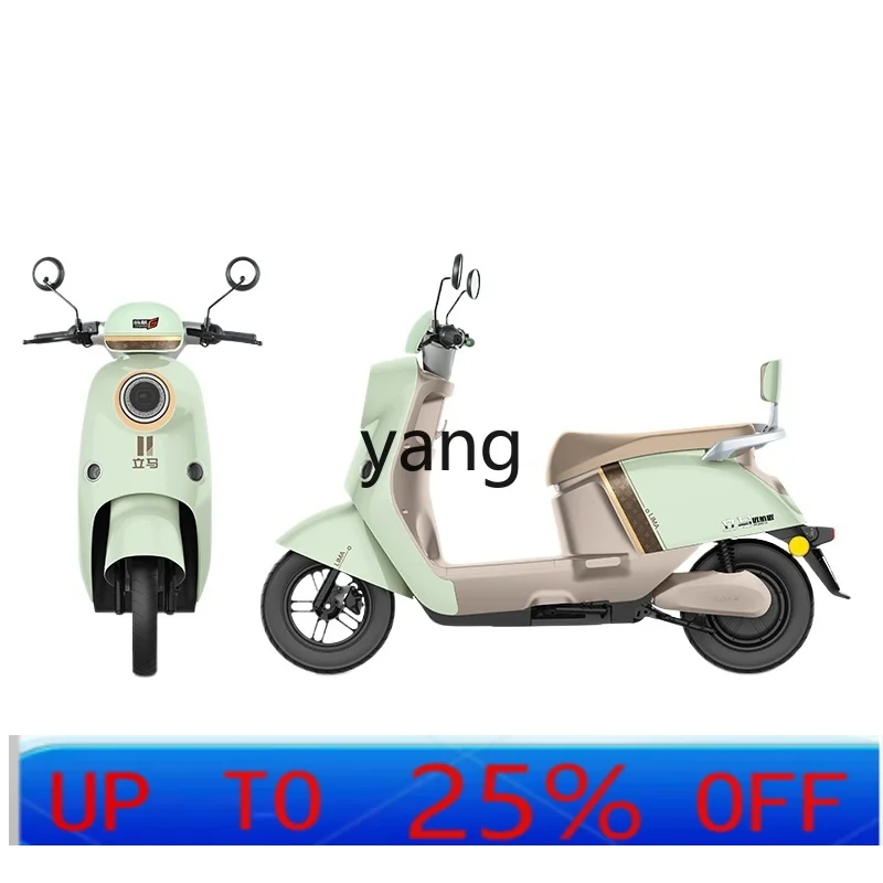 

YJQ электрическая свинцово-кислотная педальная аккумуляторная машина для взрослых, мужчин и женщин с длительным сроком службы батареи