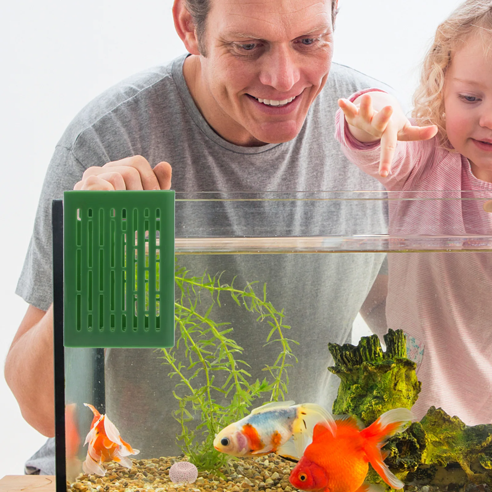 

2Pcs Multi-Function Wall-Mounted Aquarium Plant Holder Hydroponic Baskets Mesh Design Easy Clean Durable Fish Tank Accessories