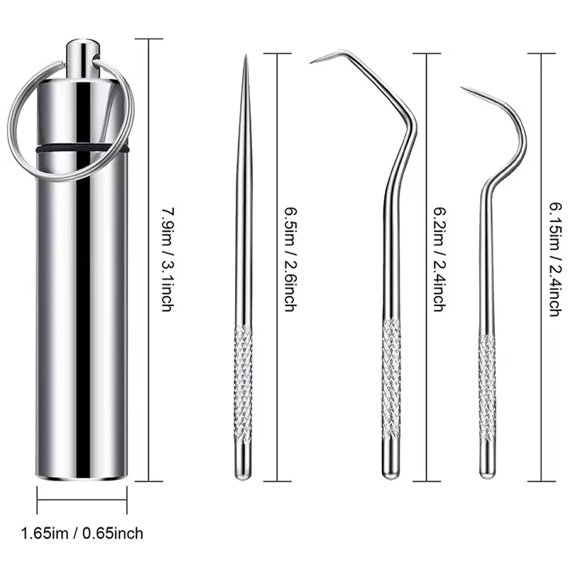 Stainless Steel Toothpick Set Reusable Toothpicks Tooth Flossing Tartar Removal Tool Portable Teeth Cleaner for Tooth Oral Clean