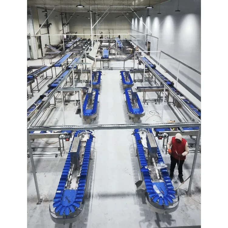 Mushroom Lemon Pineapple and Strawberry Fruit Sorting Machine Vegetable Grading Machine