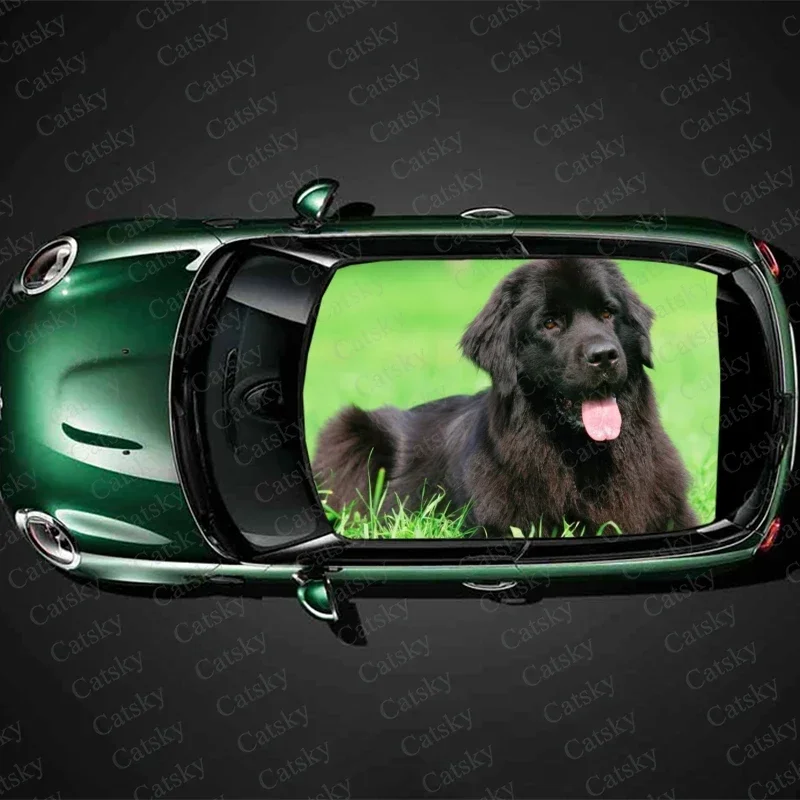 Newfoundland Puppy Car Roof Sticker Decoration Film SUV Decal Hood Vinyl Decal Graphic Wrap Vehicle Protect Accessories Gift